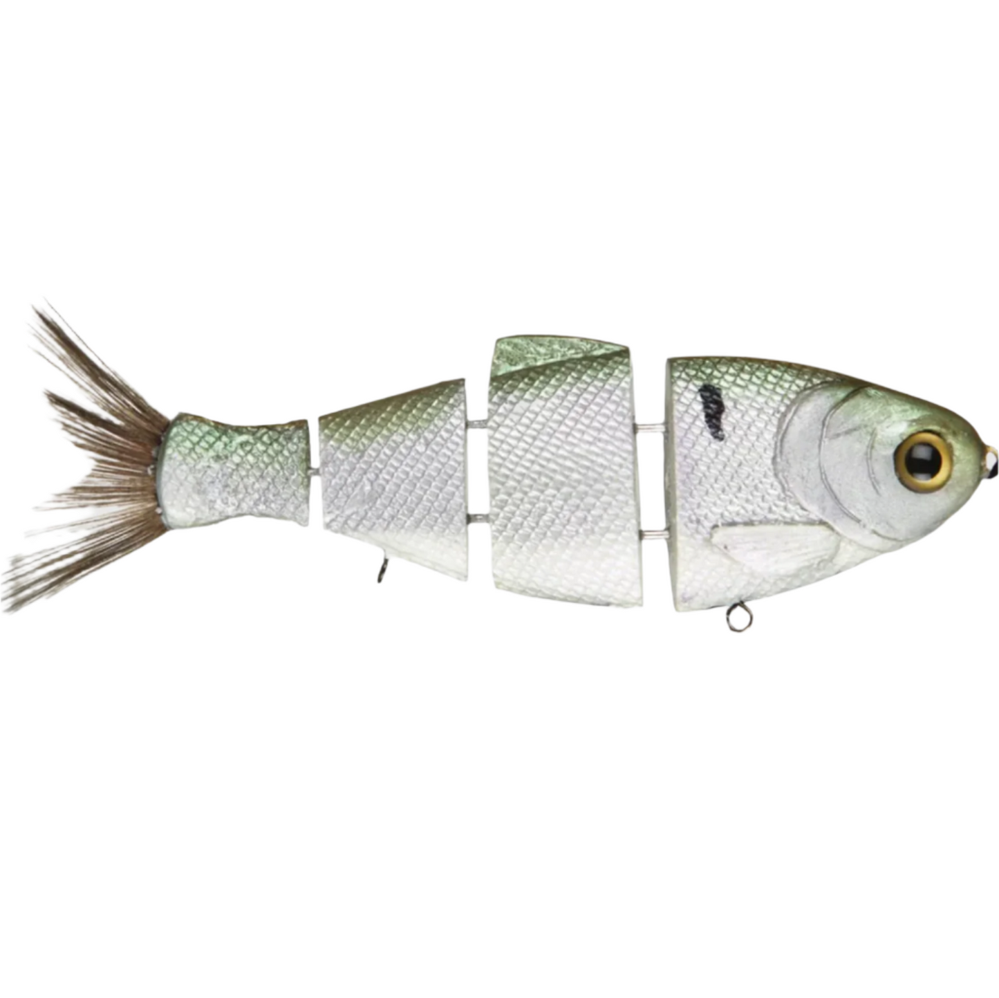 Bull Shad Slow Sink