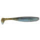  Top Shad