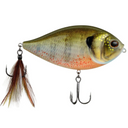  Topgill