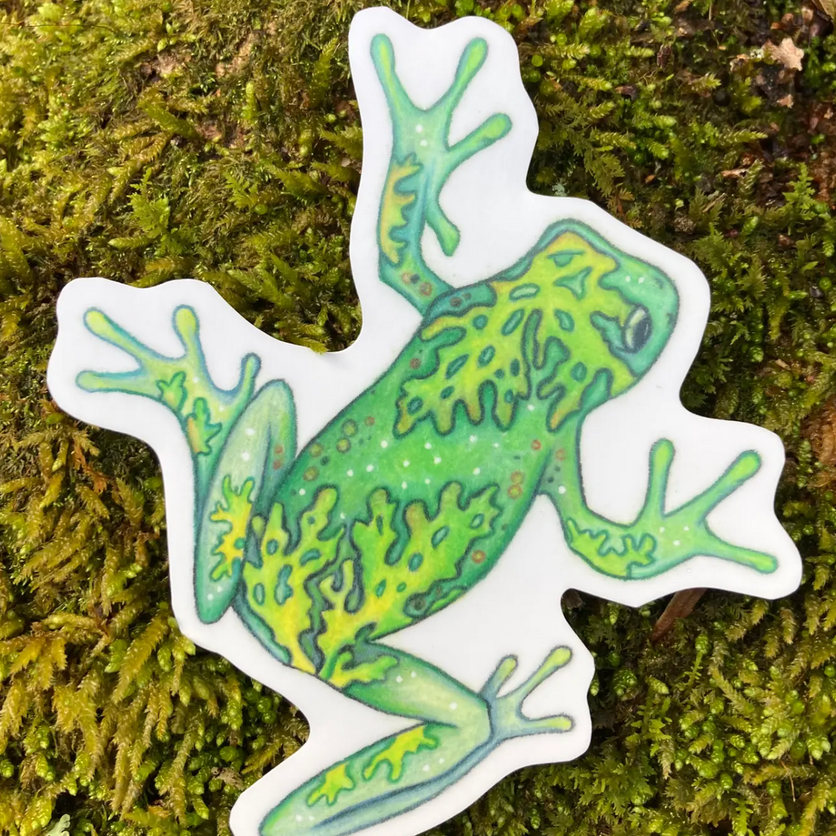 Wandering Arts Decals