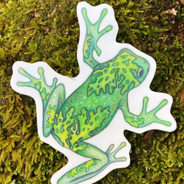 Wandering Arts Decals