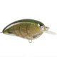  Watermelon Red Craw