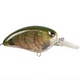  Watermelon Red Craw