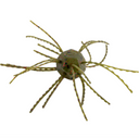  Watermelon Red -Floatin'