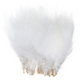  White MB001