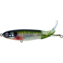  Bluegill