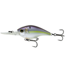  Wild Shad
