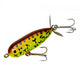  Brown Crawdad